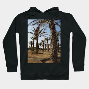 Palm trees in the middle of the farm Hoodie